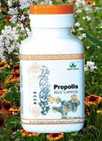 Green World Propolis Capsule and Your Health Care Need.