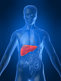 Livergen Capsule: Prevent The Invasion Of Harmful Virus To Liver