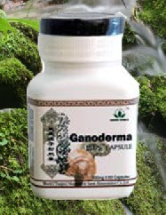 Green World Ganoderma Capsule : Improves general well-being